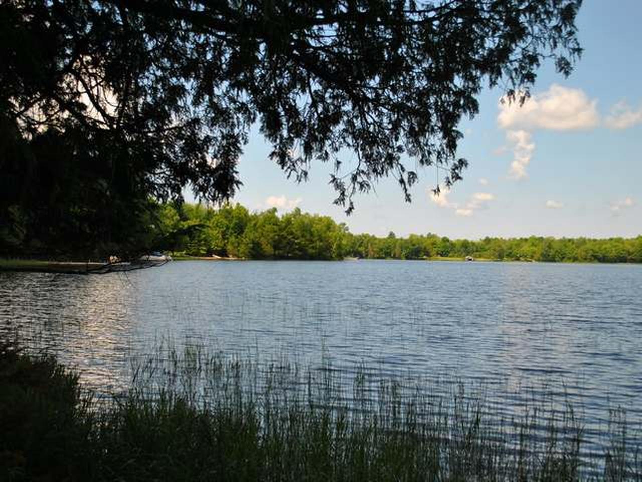 On Deerpath Road, Unit LOT 3 Watersmeet, MI 49969 - Photo 8 of 8 Gallery Image 8