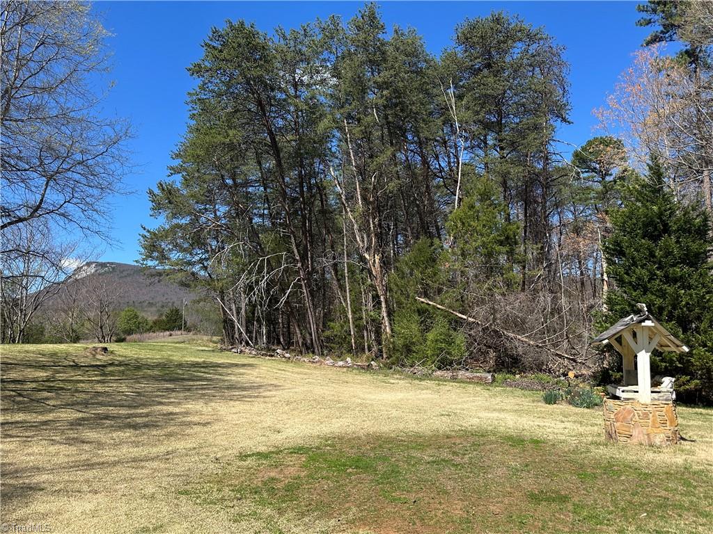 2047 Sizemore Road Germanton, NC 27019 - Photo 2 of 49 Hanging Rock State Park near, view to Cook's Wall!