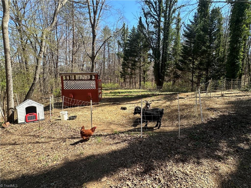2047 Sizemore Road Germanton, NC 27019 - Photo 37 of 49