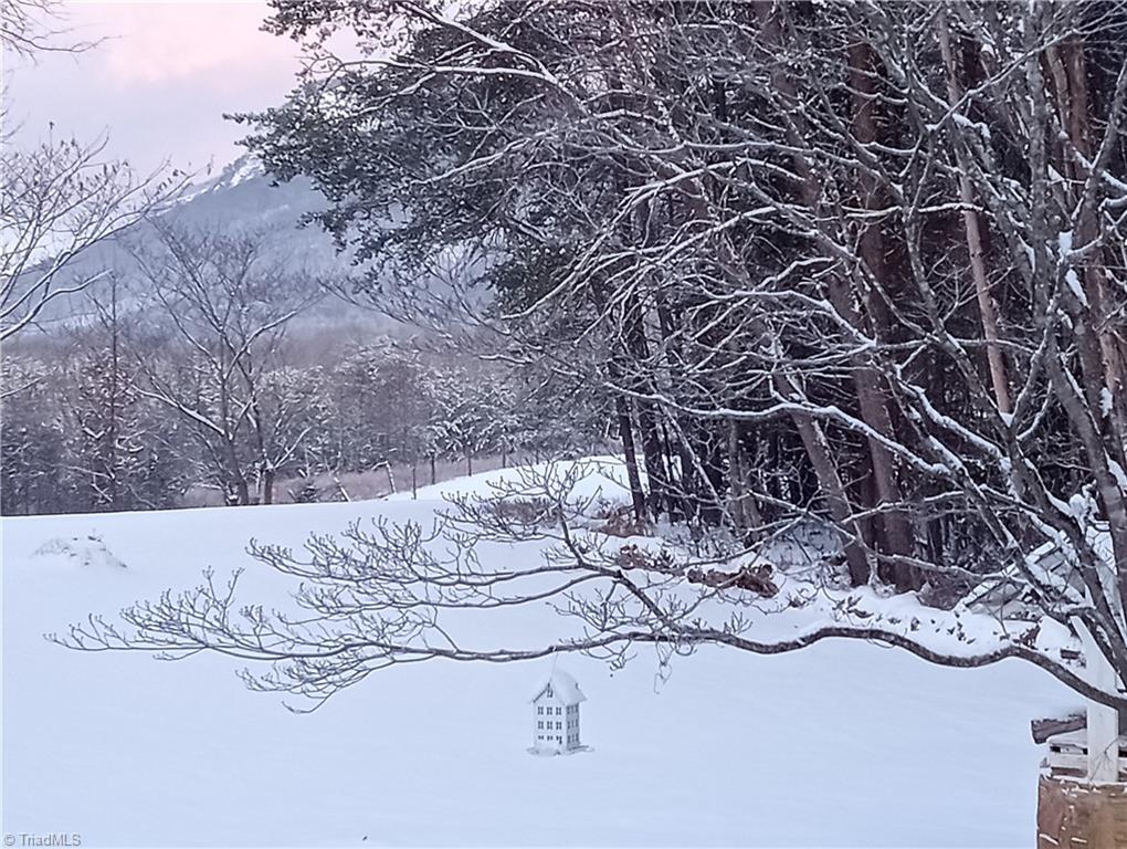 2047 Sizemore Road Germanton, NC 27019 - Photo 46 of 49 Some years, Sizemore Rd even gets winter snow! (Owner's pix)