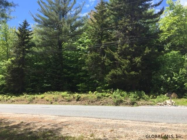 7465 Wileytown Road Providence, NY 12850 - Photo 3 of 15 Photo 3