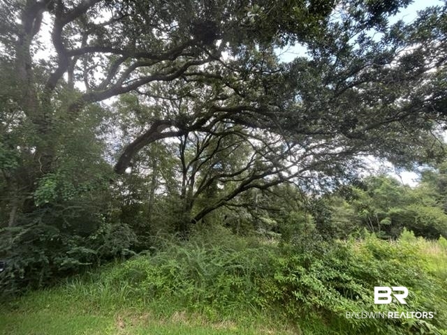 825 William Avenue Axis, AL 36505 - Photo 3 of 5
