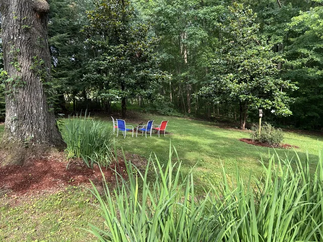 a green field with trees in the background