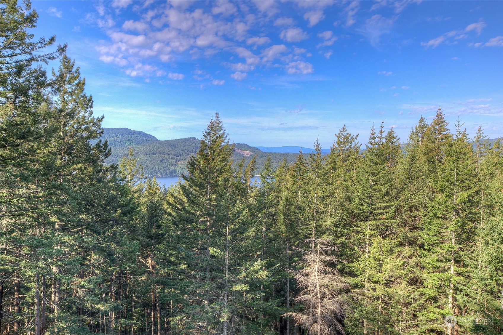 16 Switchback Road Orcas Island, WA 98245 - Photo 3 of 40 Gallery Image 3