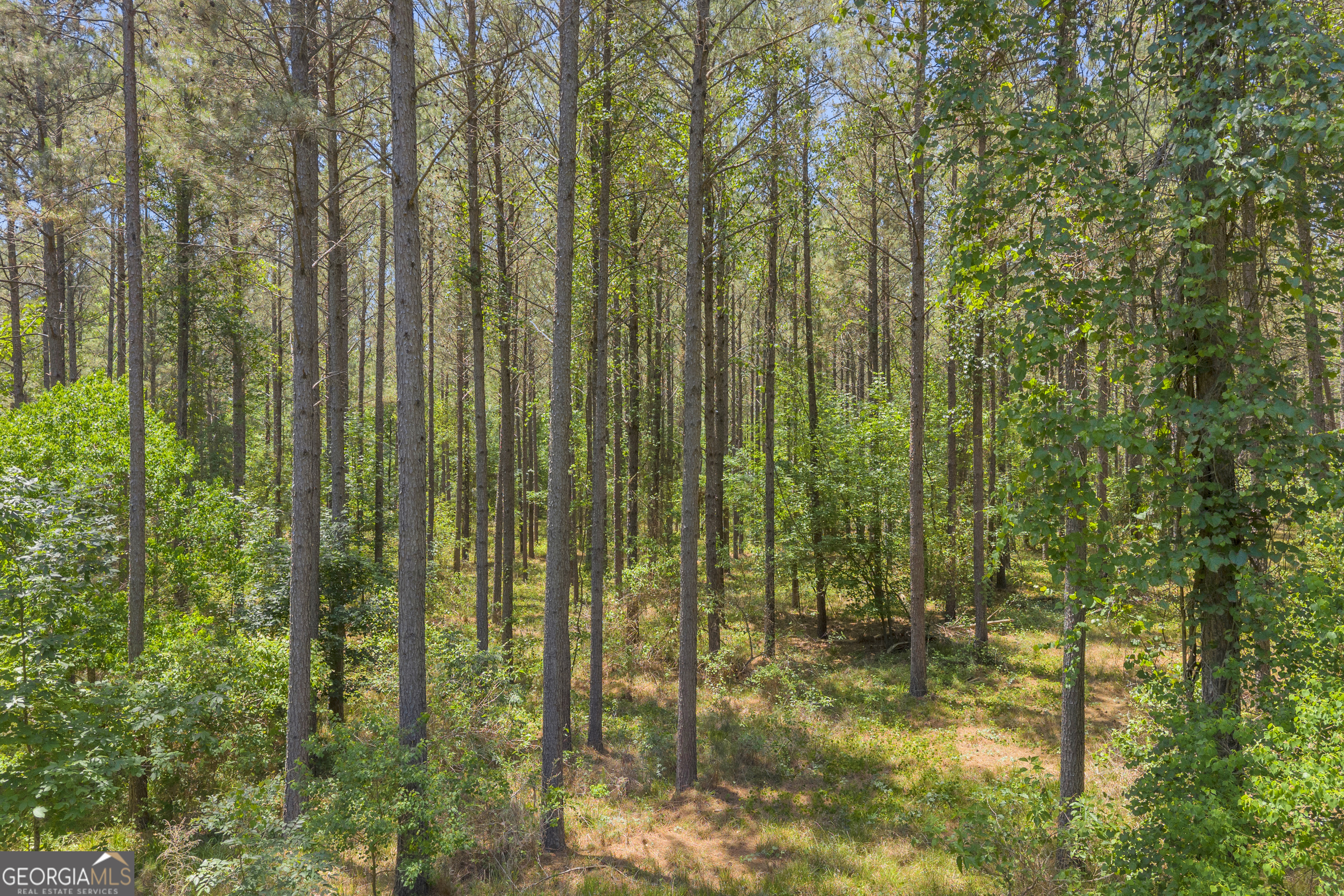 0 Hidden Harbor Road Lincolnton, GA 30817 - Photo 15 of 58