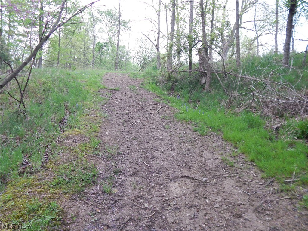 8553 Broadview Road Broadview Heights, OH 44147 - Photo 18 of 20 View of path going to land in the backyard