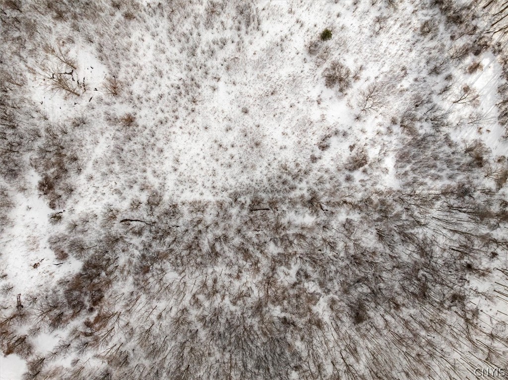 3923 Makyes Road Onondaga, NY 13215 - Photo 11 of 16