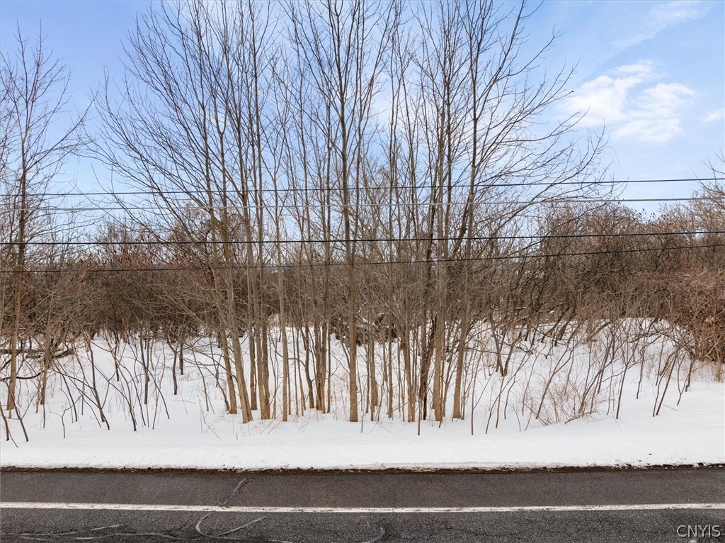3923 Makyes Road Onondaga, NY 13215 - Photo 12 of 16