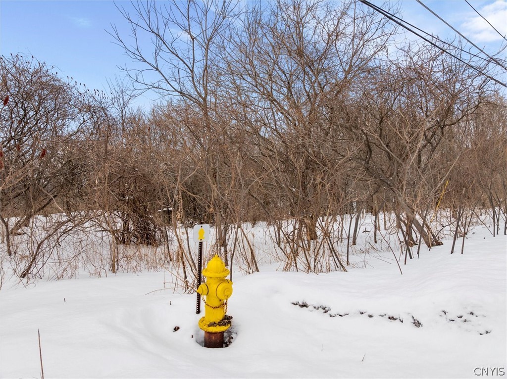 3923 Makyes Road Onondaga, NY 13215 - Photo 14 of 16