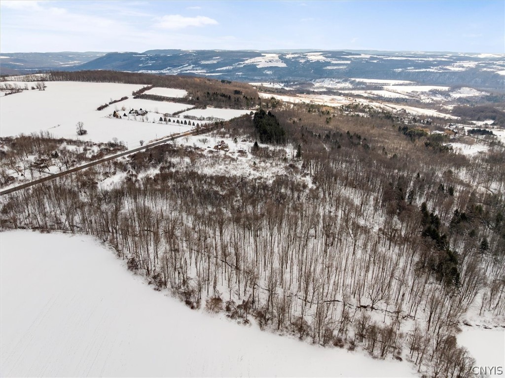 3923 Makyes Road Onondaga, NY 13215 - Photo 6 of 16