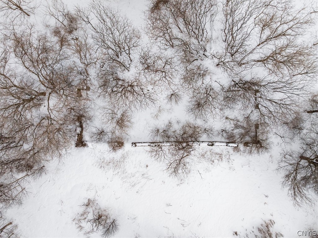 3923 Makyes Road Onondaga, NY 13215 - Photo 10 of 16