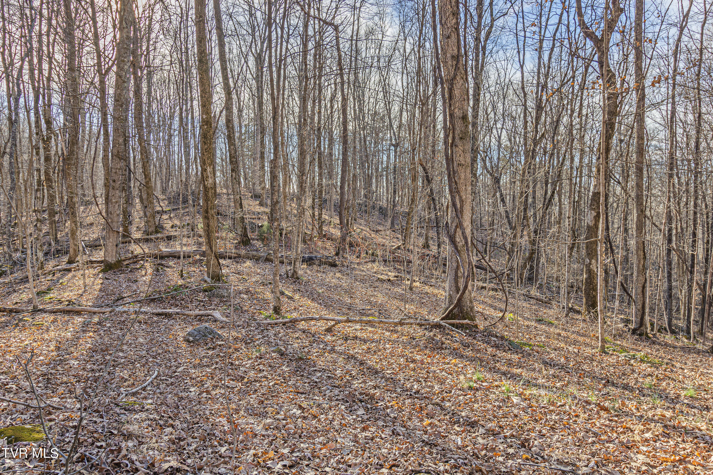 165 Jim Elliott Road Elizabethton, TN 37643 - Photo 42 of 42 IMG_2013