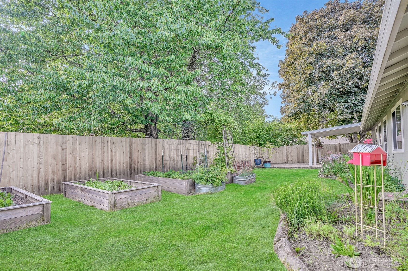 809 Cardigan Street Northwest Olympia, WA 98502 - Photo 28 of 30 a view of a backyard with table and chairs and potted plants