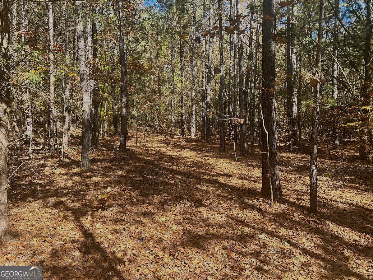 17.86-ac Pine Ridge Drive Elberton, GA 30635 - Photo 17 of 17 Gallery Image 17