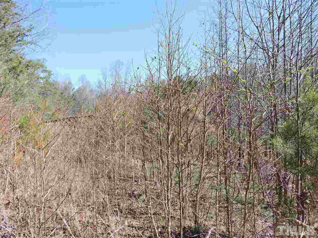 2.23 Amber Road Timberlake, NC 27583 - Photo 4 of 5 a view of a yard