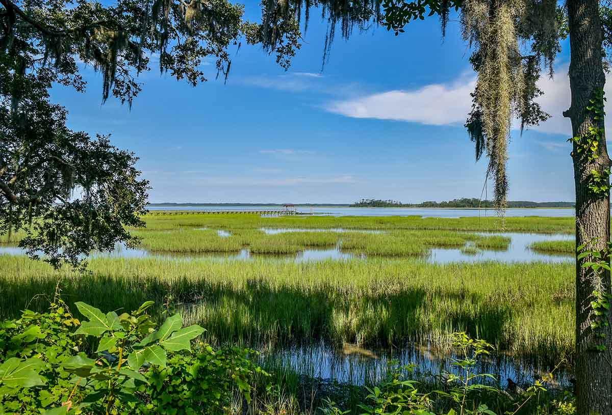 6620 Bears Bluff Road Wadmalaw Island, SC 29487 - Photo 2 of 18 DSC_7944-web