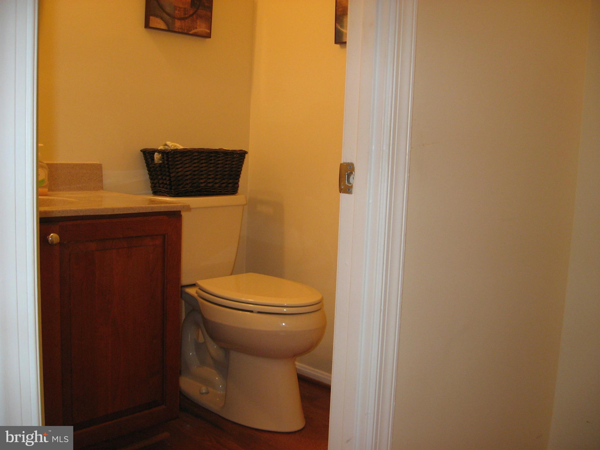 13353 Point Rider Lane Herndon, VA 20171 - Photo 5 of 15 Bath Main level Powder room