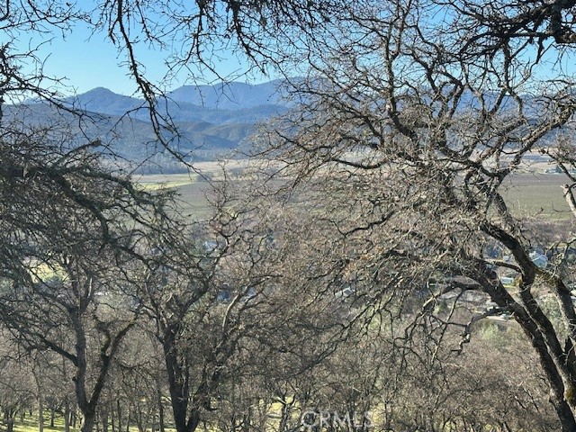 20860 Powder Horn Road Hidden Valley Lake, CA 95467 - Photo 4 of 5