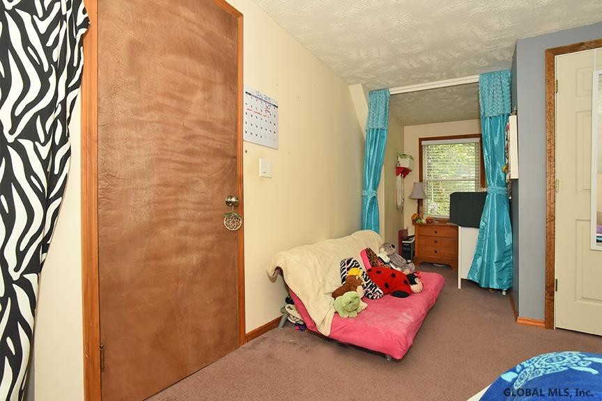 259 Lower Newtown Road Halfmoon, NY 12188 - Photo 20 of 44 Photo 20