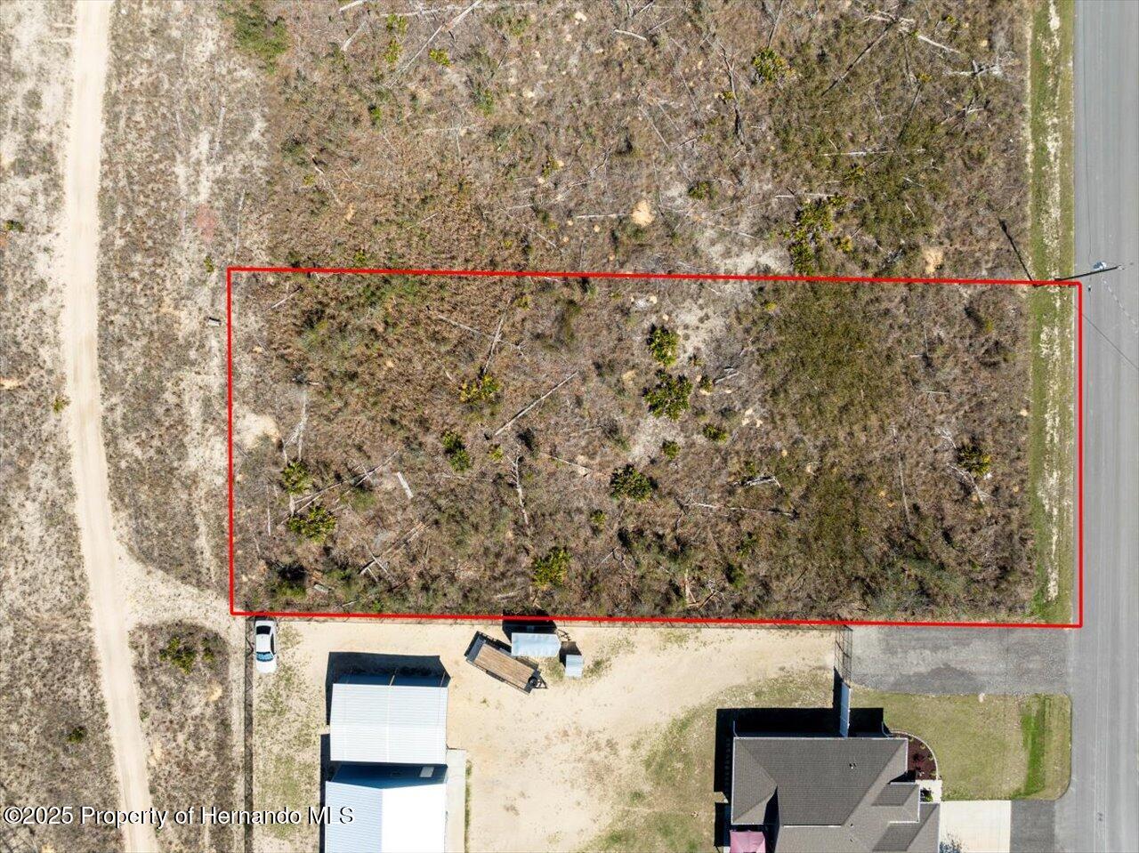 16203 Penn State Road Brooksville, FL 34614 - Photo 6 of 11