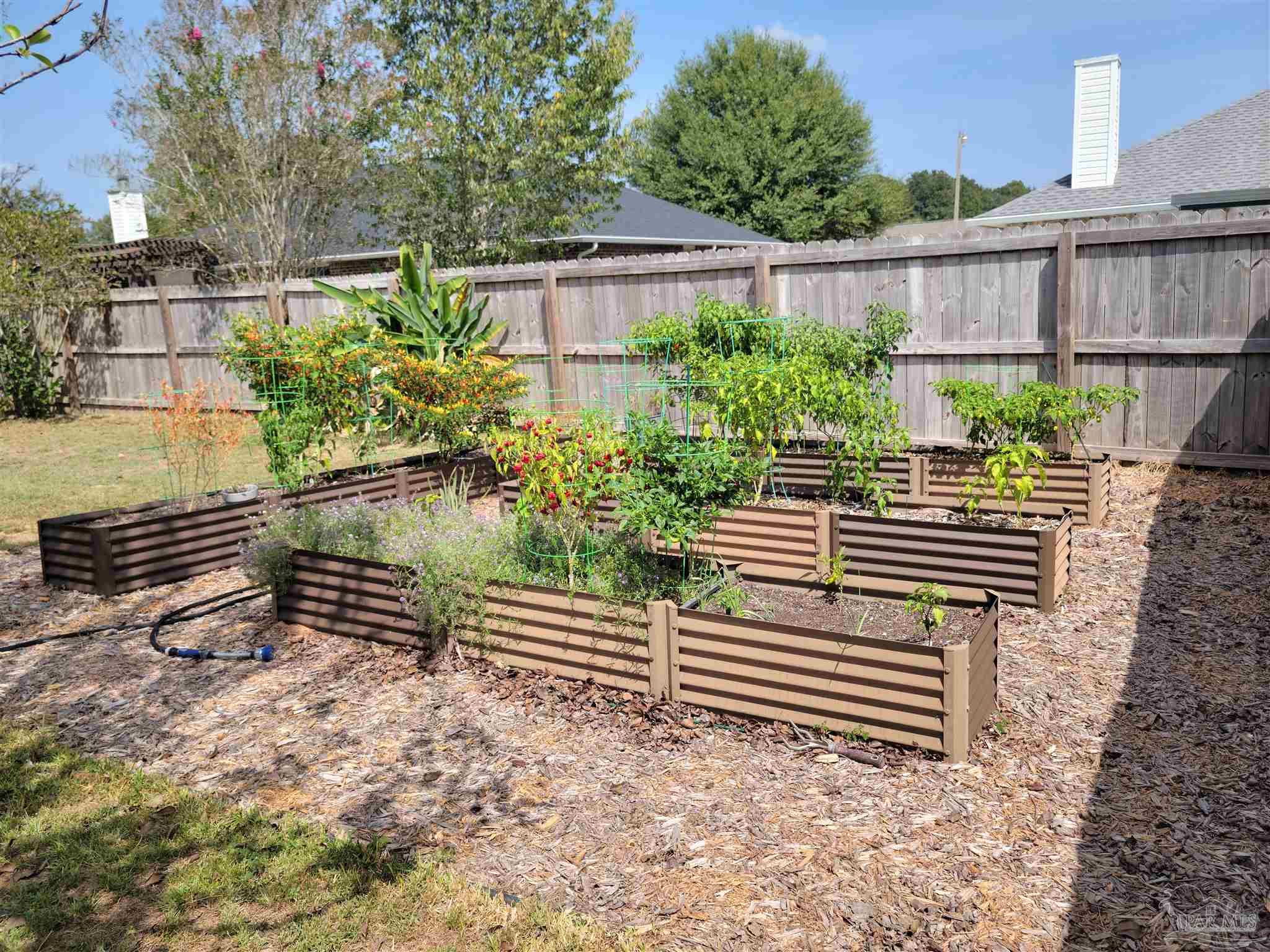 4814 Timber Ridge Drive Pace, FL 32571 - Photo 9 of 28