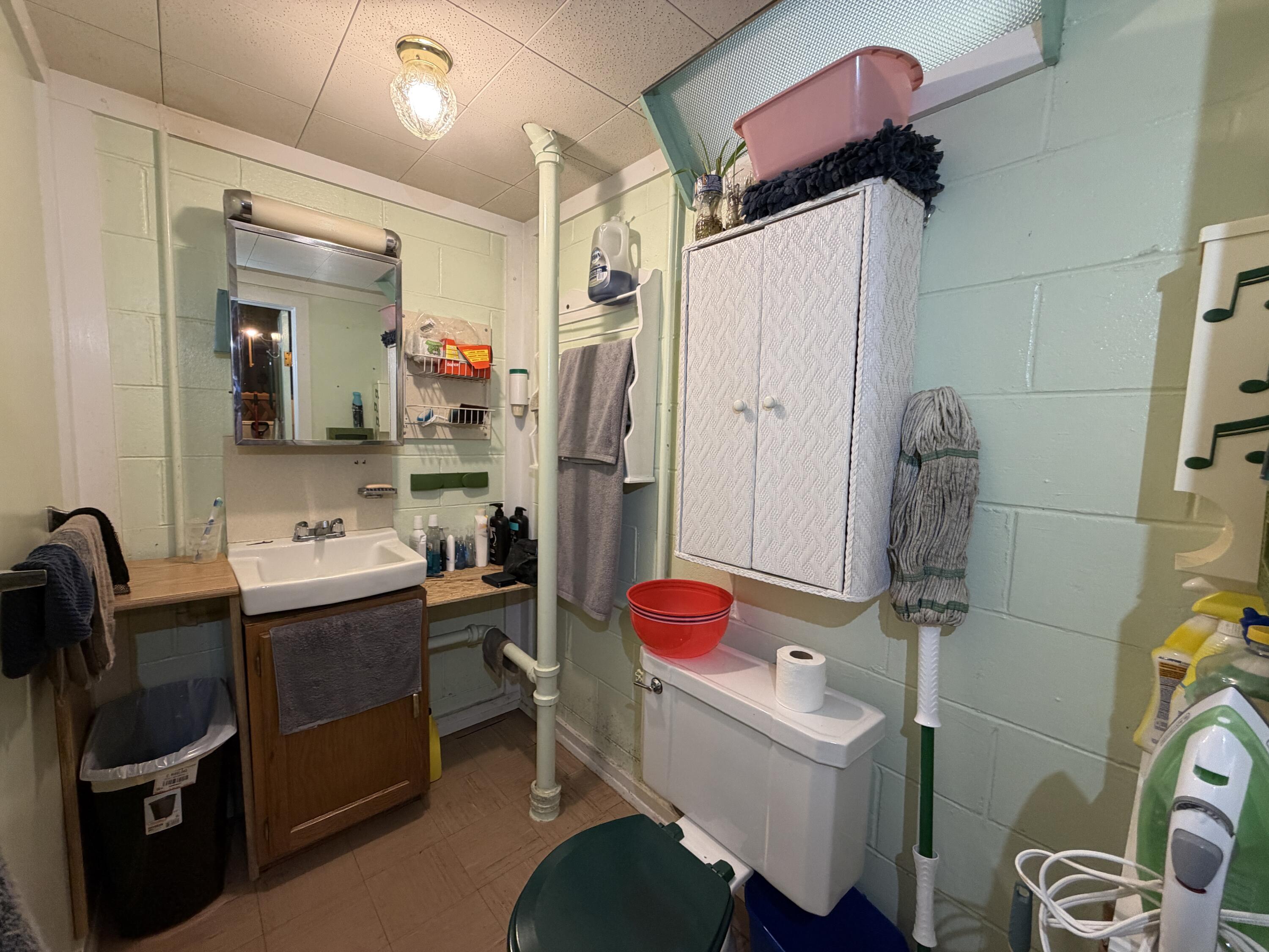5713 West Calumet Road Milwaukee, WI 53223 - Photo 64 of 90 IMG_6642