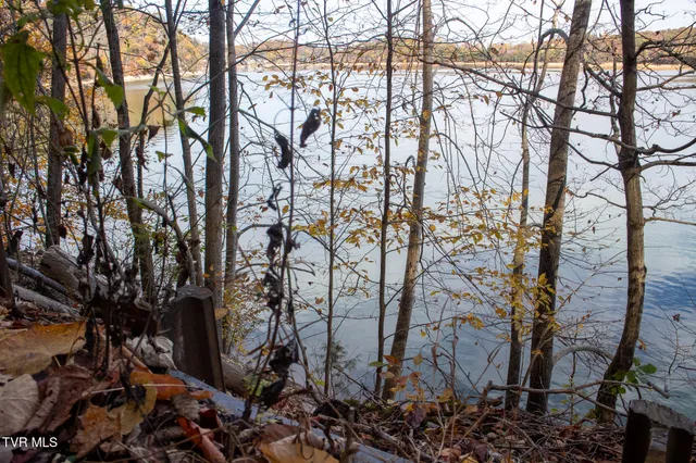 $29,000 | Lot 24 Furches Drive, Gray, TN 37615