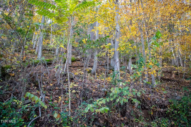 $29,000 | Lot 24 Furches Drive, Gray, TN 37615