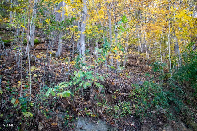 $29,000 | Lot 24 Furches Drive, Gray, TN 37615