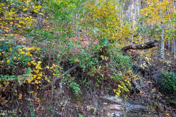 $29,000 | Lot 24 Furches Drive, Gray, TN 37615