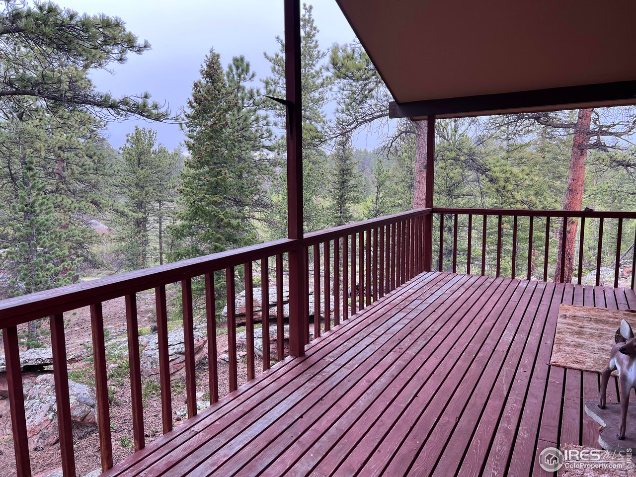 413 Monoma Road Red Feather Lakes, CO 80545 - Photo 12 of 28 Gallery Image 12