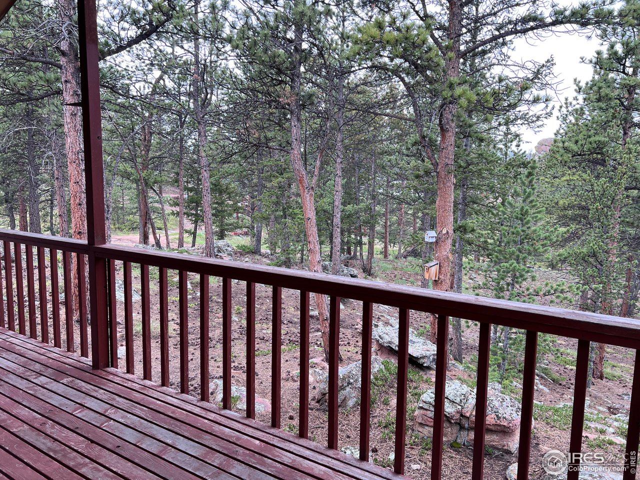 413 Monoma Road Red Feather Lakes, CO 80545 - Photo 24 of 28 Gallery Image 24