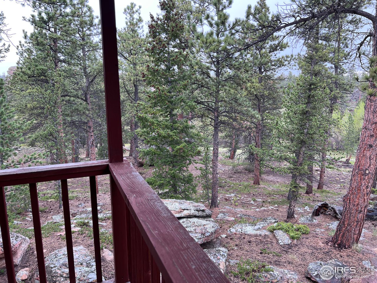 413 Monoma Road Red Feather Lakes, CO 80545 - Photo 25 of 28 Gallery Image 25