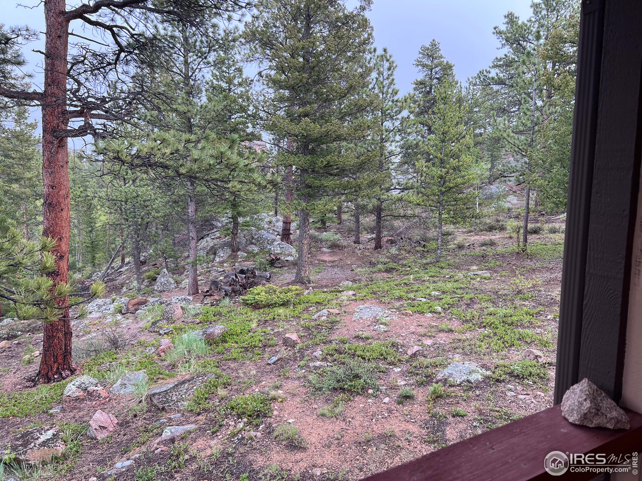 413 Monoma Road Red Feather Lakes, CO 80545 - Photo 4 of 28 Gallery Image 4