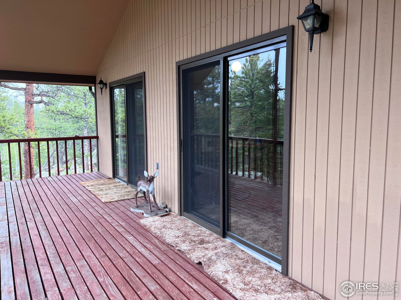 413 Monoma Road Red Feather Lakes, CO 80545 - Photo 8 of 28 Gallery Image 8