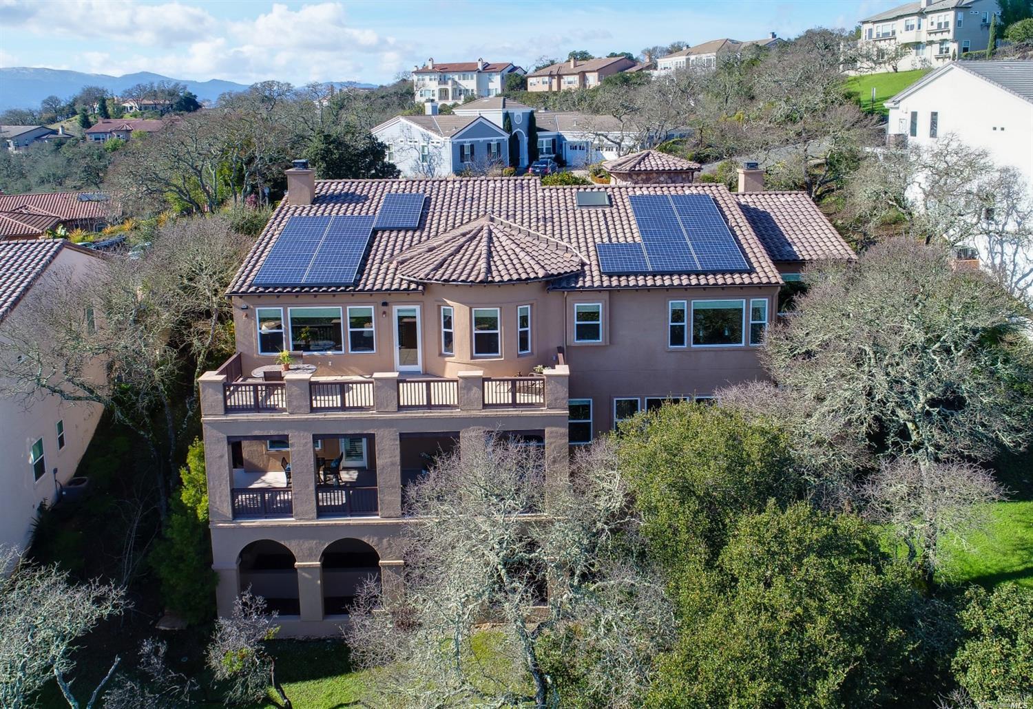 an aerial view of a house with a yard potted plants and large trees