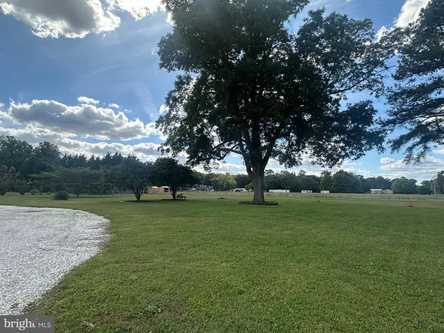 a view of grassy field with trees