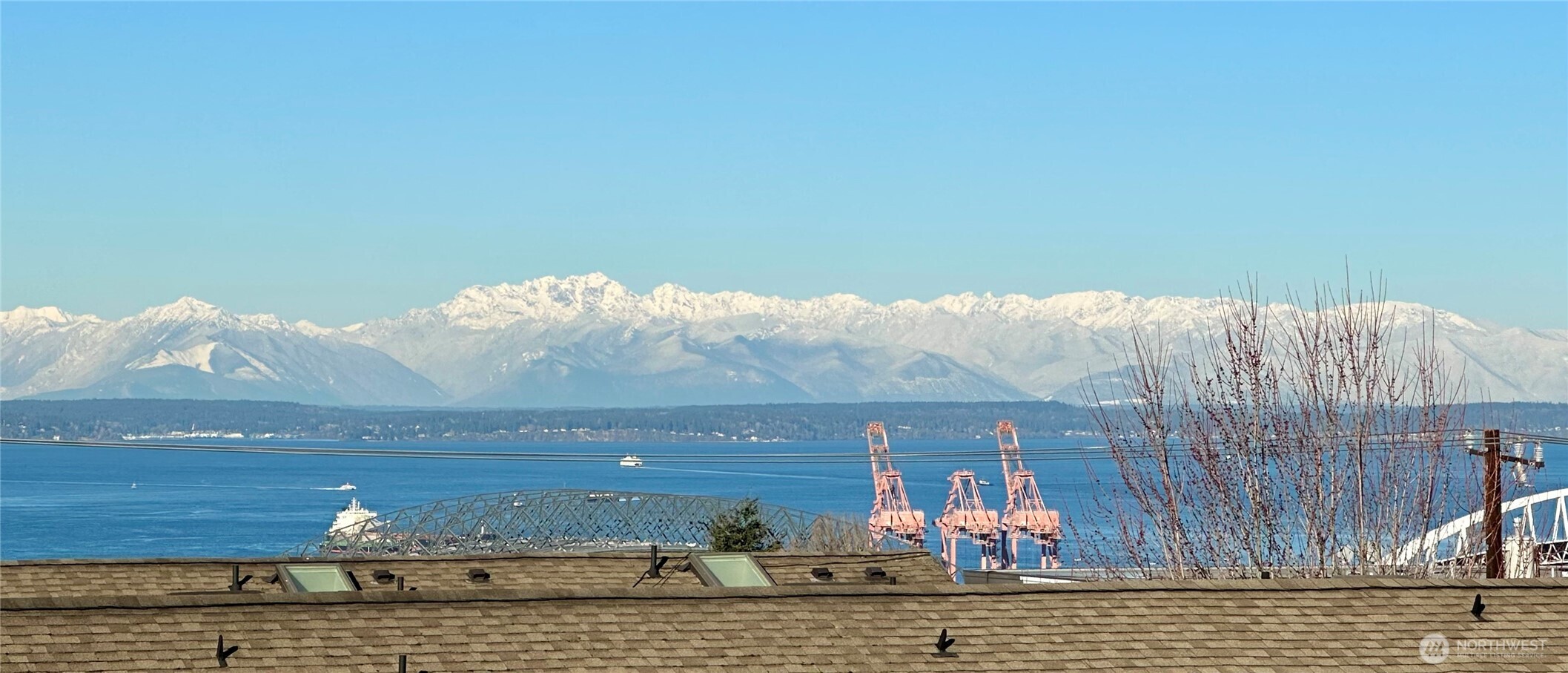 1321 South State Street, Unit C Seattle, WA 98144 - Photo 4 of 36