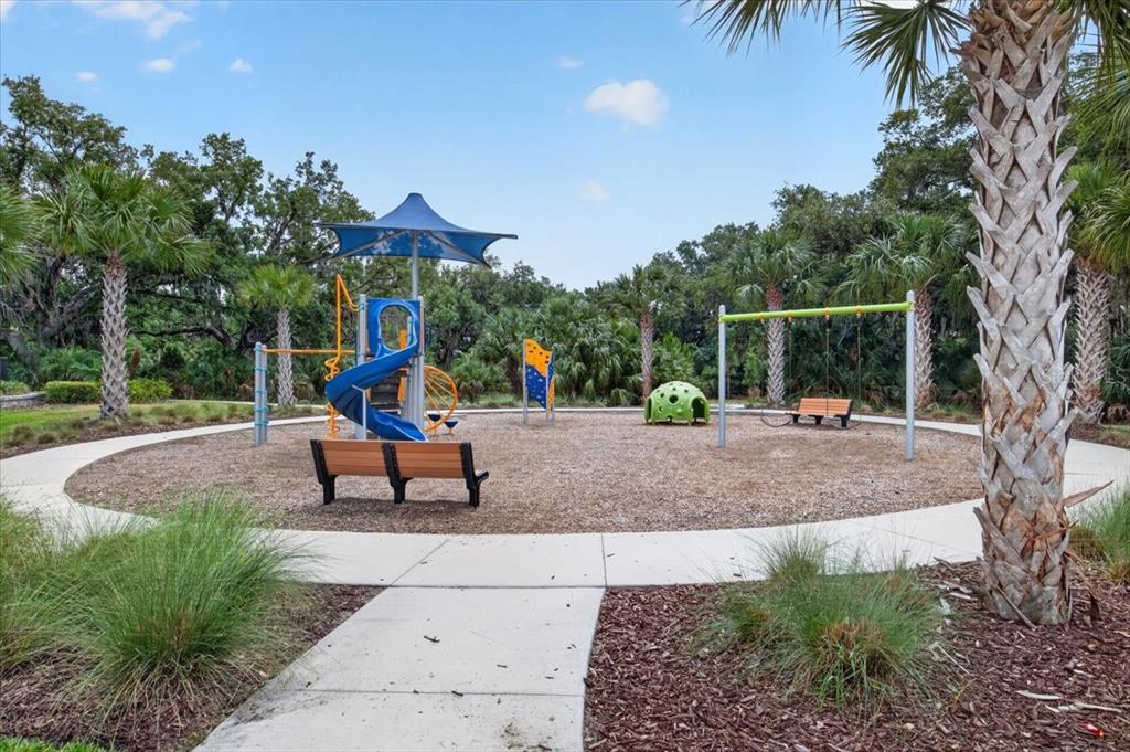 8717 Corkscrew Crossing Parrish, FL 34219 - Photo 53 of 56