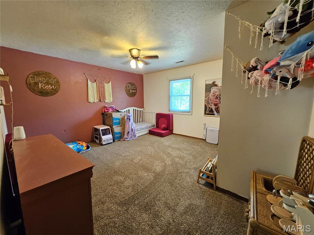 14040 Elm Drive Plato, MO 65552 - Photo 14 of 46