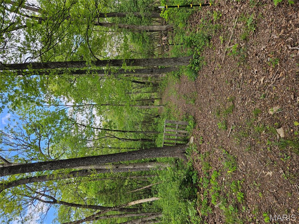 14040 Elm Drive Plato, MO 65552 - Photo 25 of 46