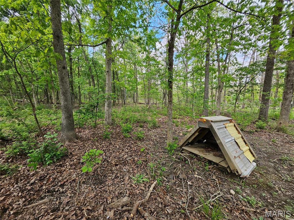 14040 Elm Drive Plato, MO 65552 - Photo 30 of 46