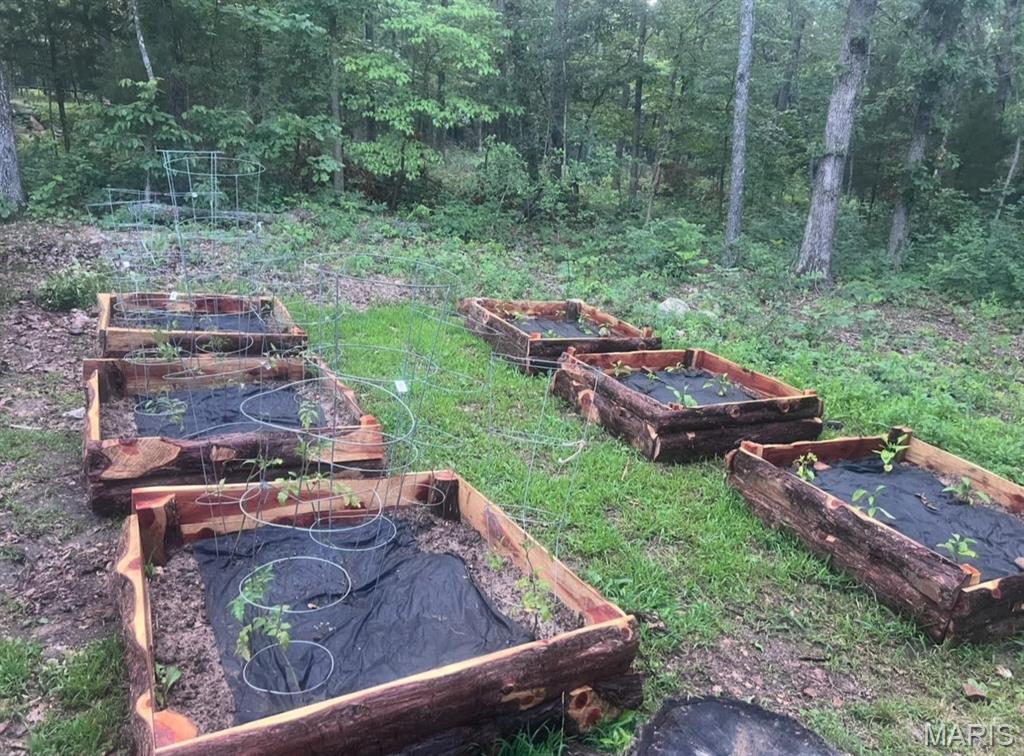 14040 Elm Drive Plato, MO 65552 - Photo 4 of 46