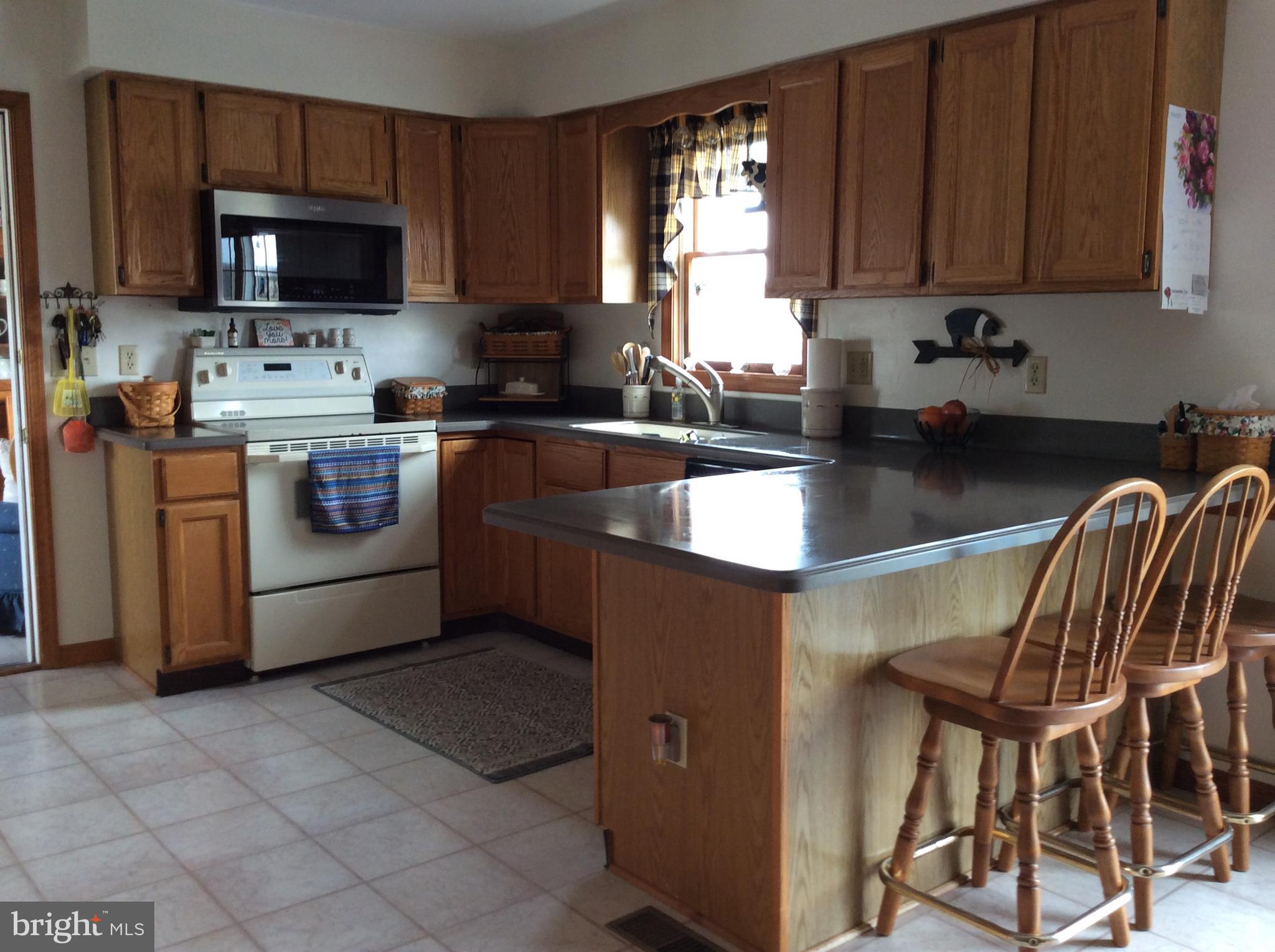 24600 Trunk Line Road Henderson, MD 21640 - Photo 13 of 42 Kitchen with snack bar