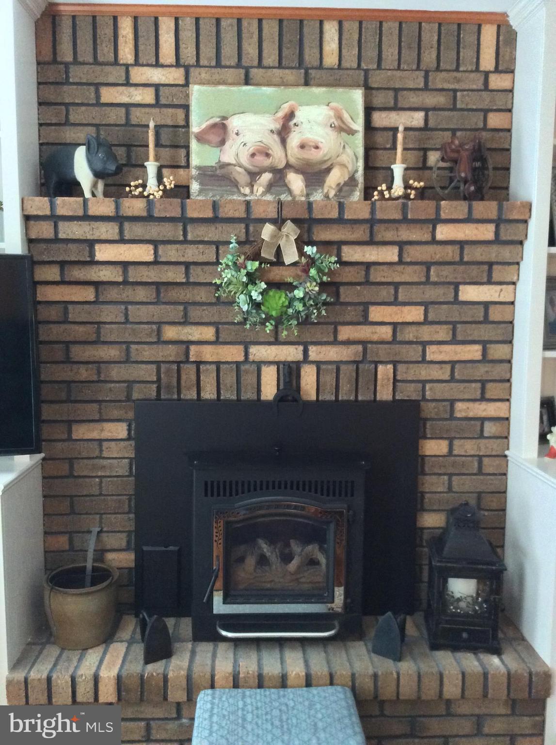 24600 Trunk Line Road Henderson, MD 21640 - Photo 22 of 42 Fireplace with Harman Pellet Stove insert