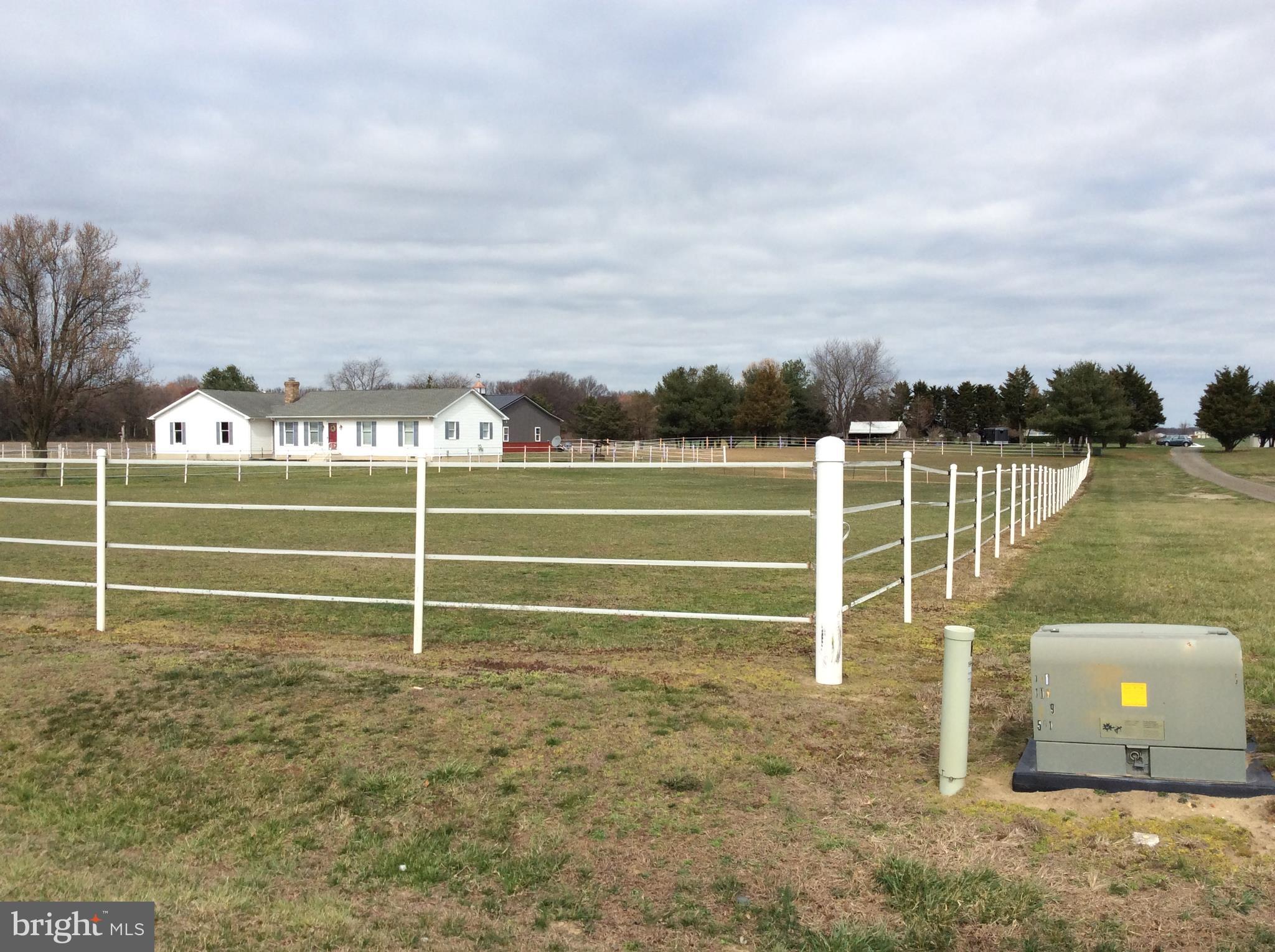 24600 Trunk Line Road Henderson, MD 21640 - Photo 37 of 42 Fenced pasture #1