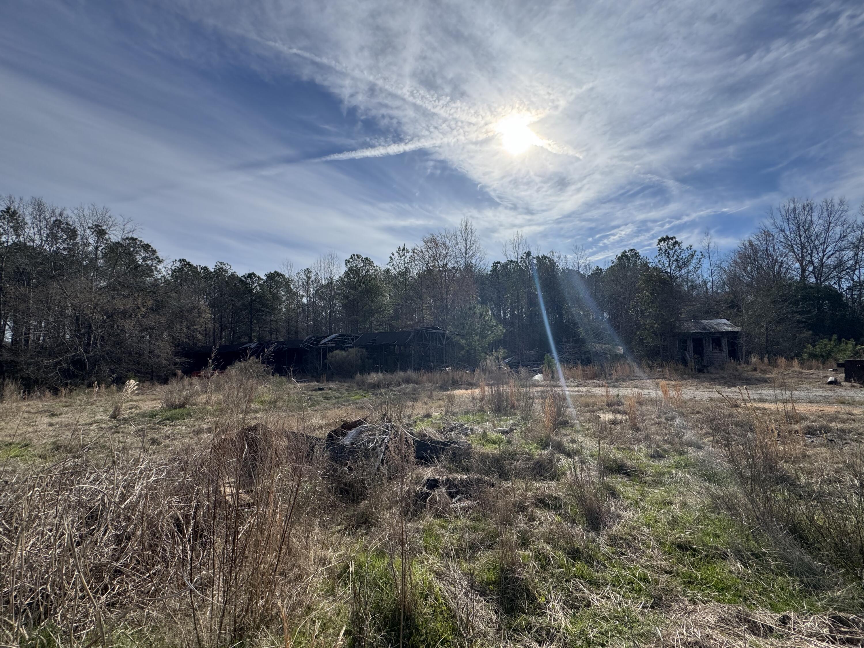 1 Planer Road Edgefield, SC 29824 - Photo 9 of 13