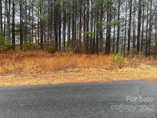 0 Spur Alley, Unit LOT #27 Rutherfordton, NC 28139 - Photo 3 of 10 Gallery Image 3