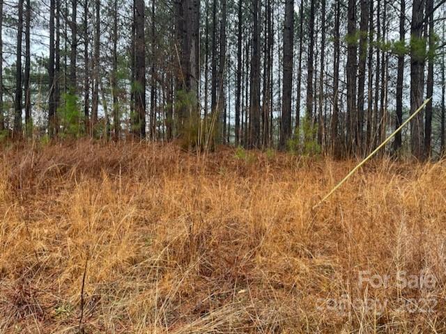 0 Spur Alley, Unit LOT #27 Rutherfordton, NC 28139 - Photo 6 of 10 Gallery Image 6