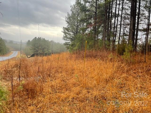 0 Spur Alley, Unit LOT #27 Rutherfordton, NC 28139 - Photo 8 of 10 Gallery Image 8
